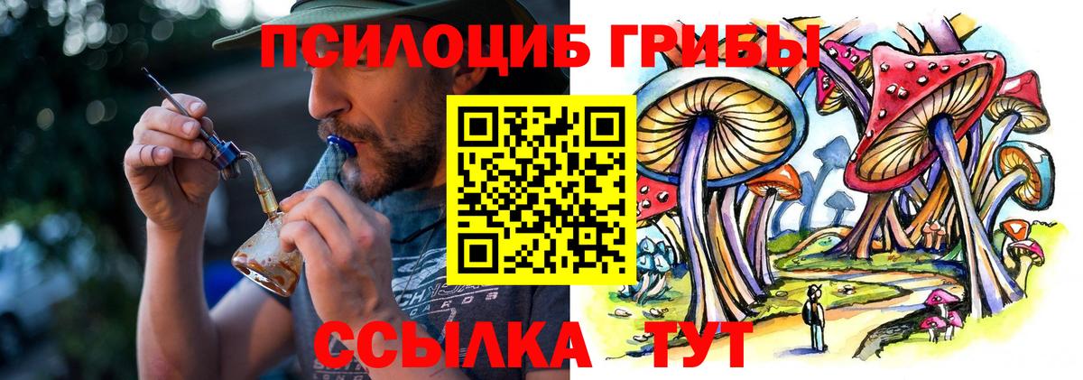 Псилоцибиновые грибы мухоморы Белгород